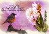 جملات زیبا و ادبی درباره گل سنبل