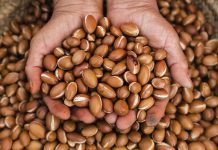 خواص روغن آرگان خوراکی