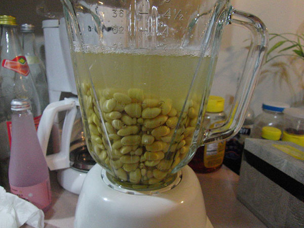 روش تهیه شیر سویا خانگی : لوبیا های سویای پوست کنده شده را به همراه 4 فنجان آب درون مخلوط کن خوب هم بزنید