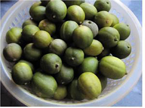 لیمو ترش های شیرازی را به مدت 1 روز در آب و نمک خیس کرده و آبکشی کنید
