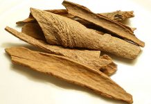 دارچین سایگون