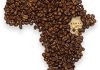 همه چیز درباره قهوه کنیا