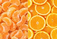 تفاوت نارنگی با پرتقال