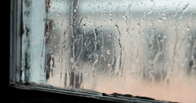 عکس متحرک باران و پنجره