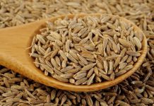 خواص زیر سبز چیست؟