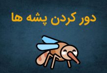پشه ها از چی متنفرند؟
