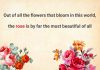 متن انگلیسی درباره گل رز