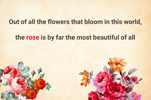 متن انگلیسی درباره گل رز