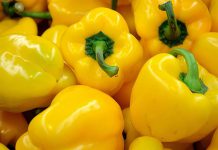 خواص سبزیجات زرد رنگ
