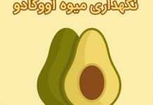 نگهداری طولانی مدت آووکادو