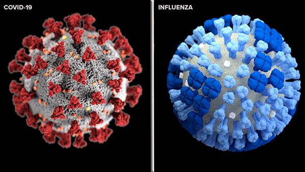 تفاوت ها و شباهت های آنفلوانزا با کرونا ویروس
