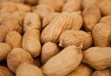 جدول ارزش غذایی بادام زمینی