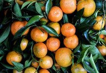 فرق نارنگی و یافا چیست؟