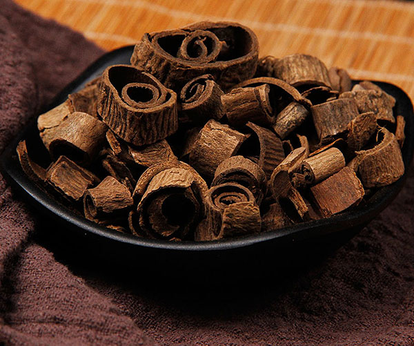 خواص دارویی پوست درخت ماگنولیا برای سلامتی
