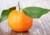 عکس پرتقال ماندارین