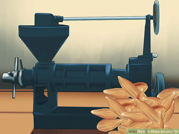 استفاده از دستگاه روغن گیر برای تهیه روغن بادام