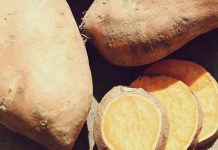 عکس و ارزش غذایی سیب زمینی شیرین