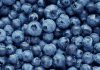ارزش غذایی و کالری بلوبری