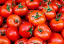 ارزش غذایی گوجه فرنگی