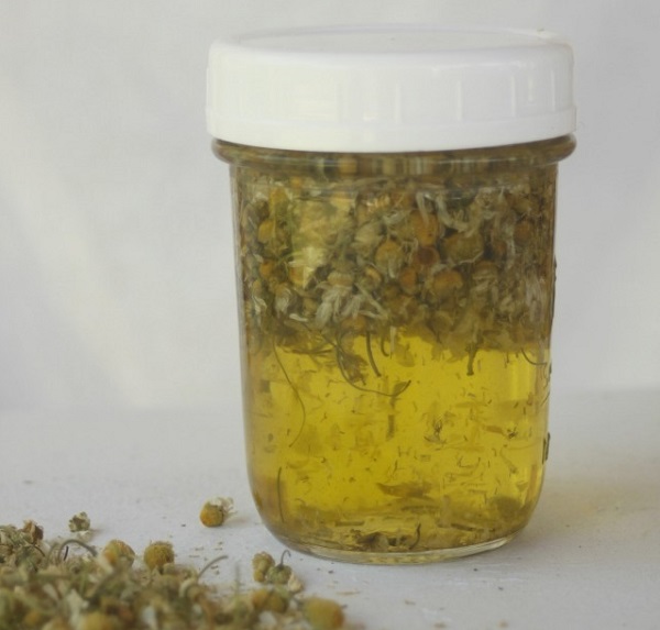 روش درست کردن روغن بابونه خانگی