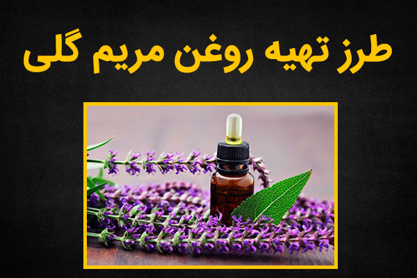 روش تهیه روغن مریم گلی