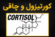 ارتباط هورمون کورتیزول و چاقی