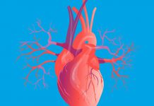 تحقیق کوتاه در مورد قلب انسان