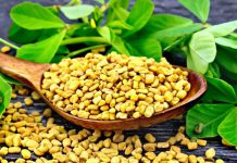 فواید شنبلیله برای لاغری
