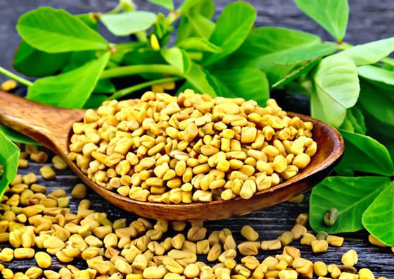  فواید شنبلیله برای لاغری