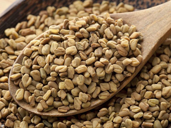 خواص شنبلیله برای پرپشتی موها