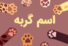 اسم گربه فارسی و انگلیسی با معنی