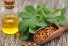 چگونه روغن شنبلیله درست کنیم؟