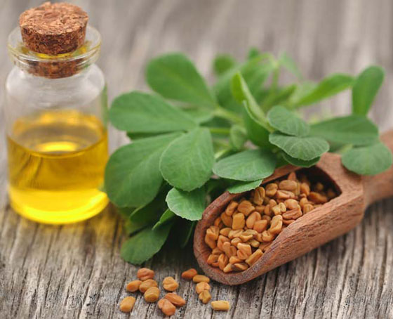 چگونه روغن شنبلیله درست کنیم؟