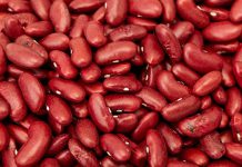 ارزش غذایی لوبیا قرمز پخته شده
