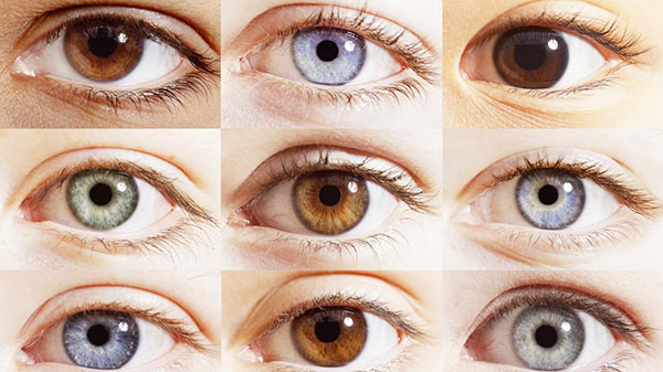 شخصیت شناسی و ویژگی های روانشناسی رنگ چشم