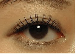 عکس رنگ چشم قهوه ای تیره