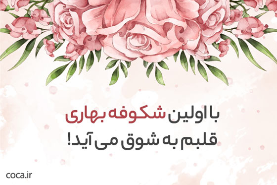 کپشن خاص شکوفه های بهاری برای اینستاگرام