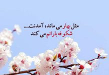 متن های زیبا در مورد شکوفه های بهاری