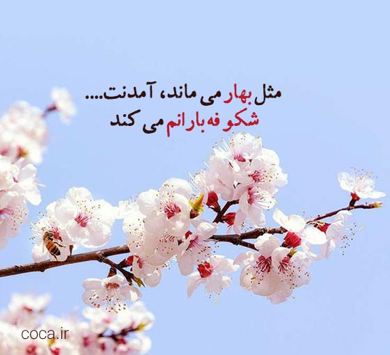 متن های زیبا در مورد شکوفه های بهاری