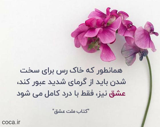 متن زیبا و عاشقانه کتاب ملت عشق