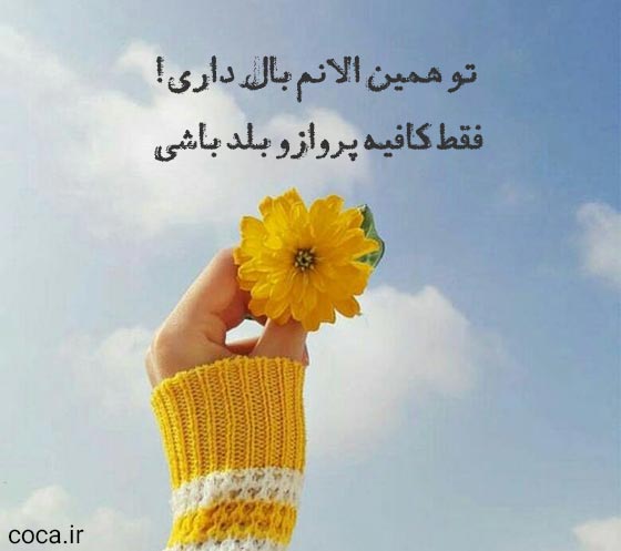 متن فلسفی جدید و پرمعنا برای عکس