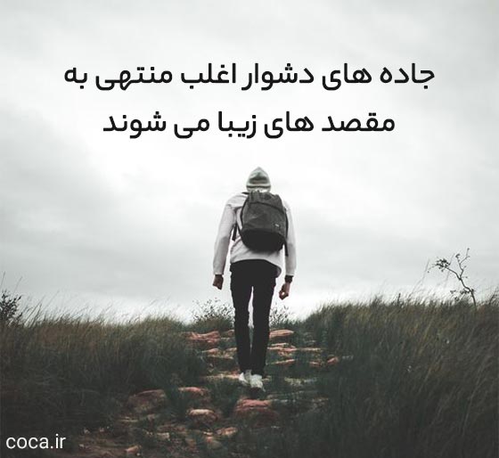 جملات تک خطی سنگین و مفهومی