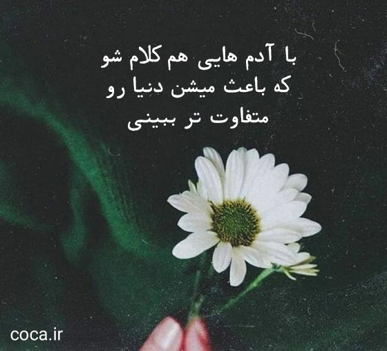 متن دلنوشته های ناب و کوتاه برای بیوگرافی