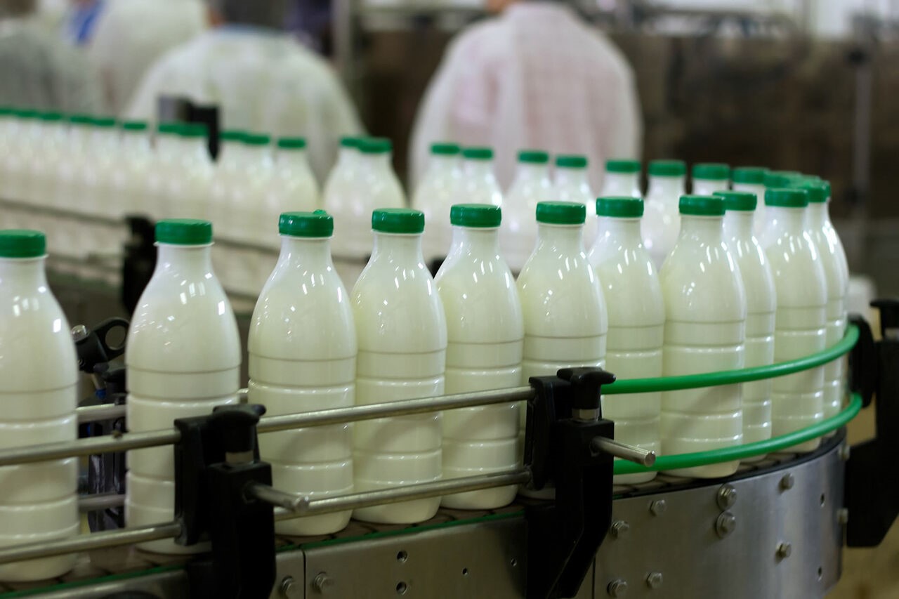 برترین تولیدکنندگان شیر