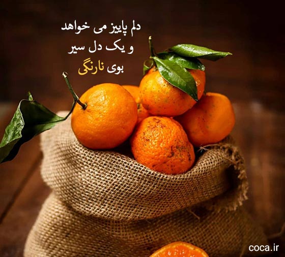 متن زیبا درباره پاییز و نارنگی