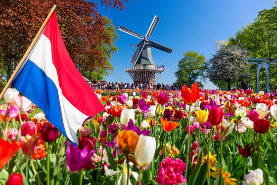 هلند؛ کشور لاله های رنگی