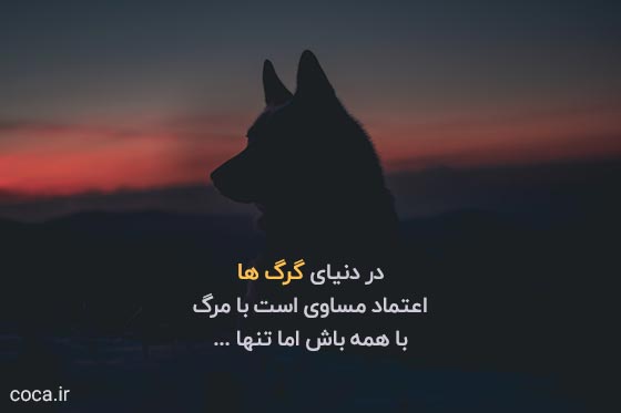 جملات سنگین و عکس نوشته در مورد گرگ