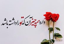 اشعار تک بیتی صائب تبریزی