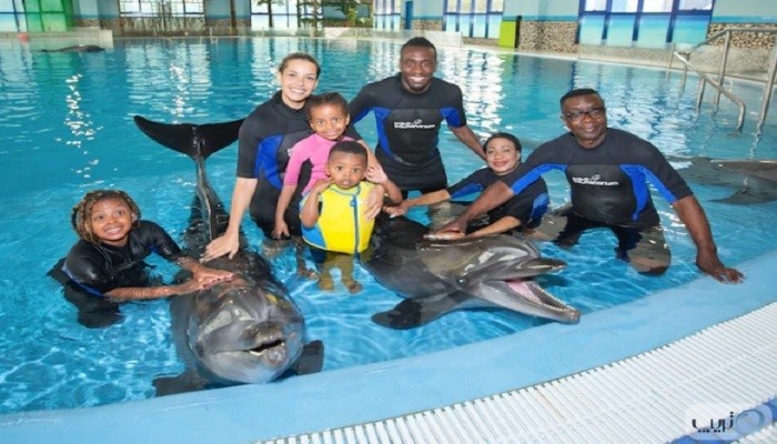 تصویری از کودکان در کنار دلفین ها در دلفیناریوم دبی