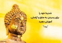 جملات قصار و مفهومی ناب از بودا